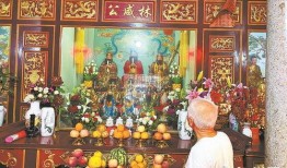 宫宫出公在线观看,宫廷秘史在线揭秘