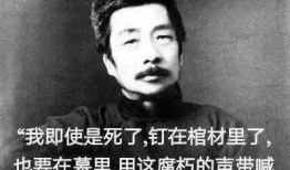 新闻趣事爆料文案,趣事连连，笑料百出！